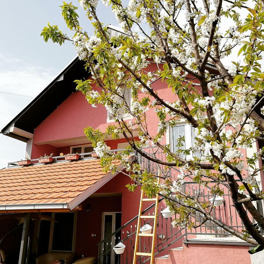 Apartments "Predah Kod Baraca" Ni 외부 사진